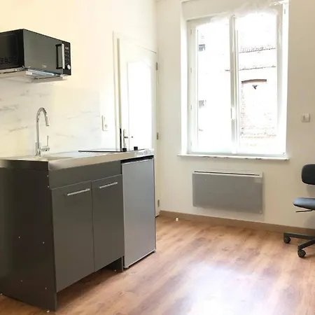 Superbe Confort A Apartment Lille